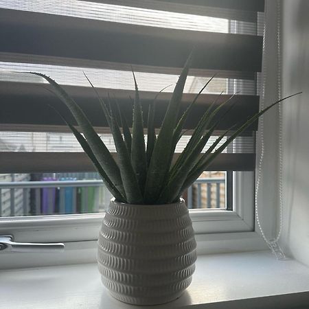 Black Daisy 格拉斯哥 外观 照片