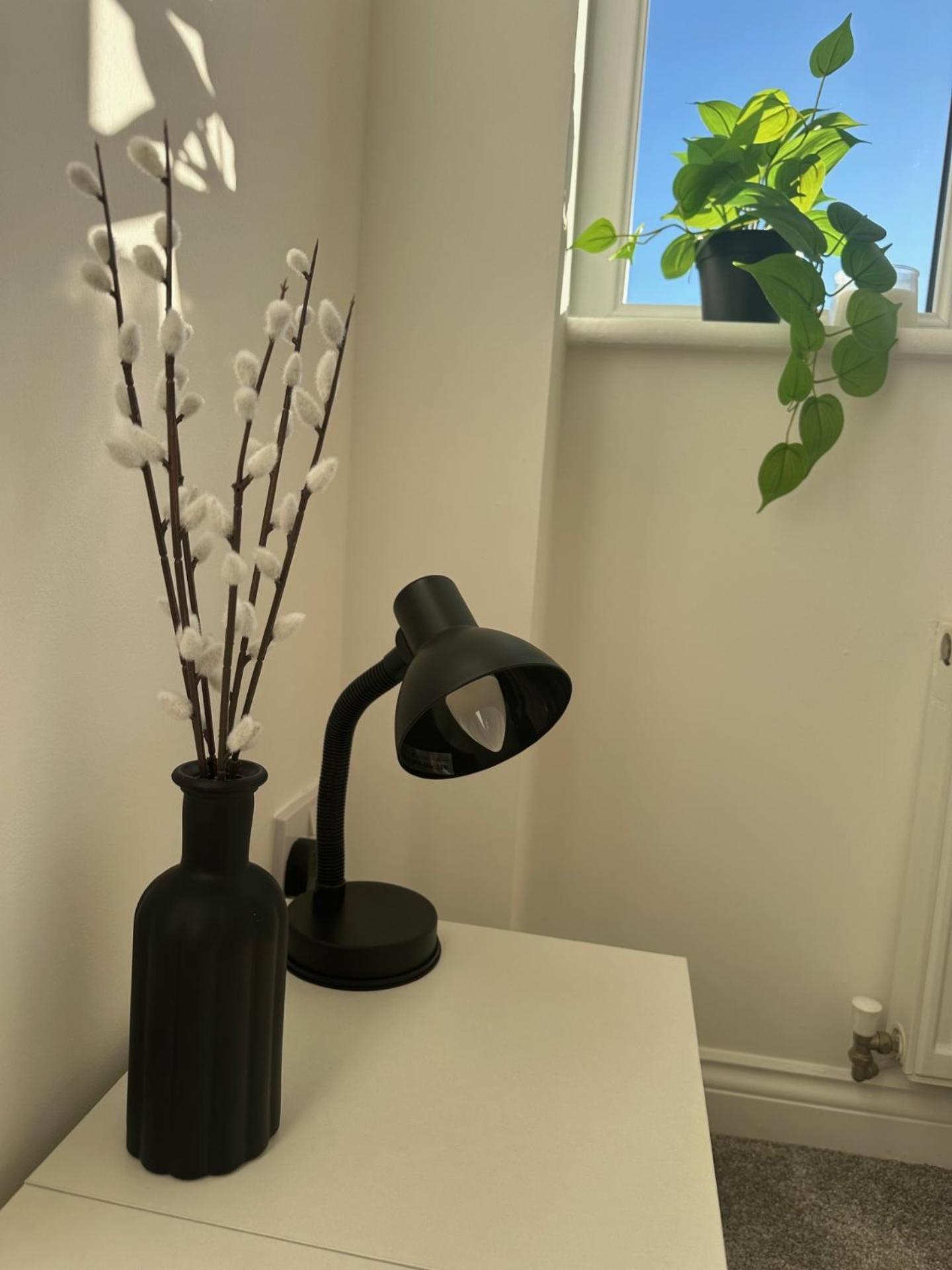 Black Daisy 格拉斯哥 外观 照片