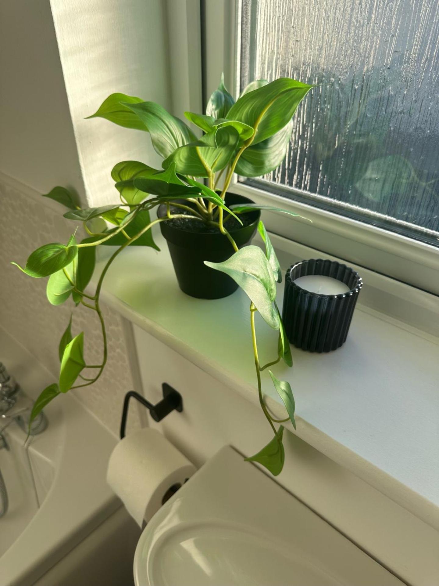 Black Daisy 格拉斯哥 外观 照片